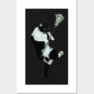 LACROSSE CAT Posters and Art